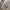 Mark Gonzales Casual Sweater Pria gray photo 4
