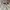 Mark Gonzales Casual Sweater Pria gray photo 3