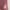 The North Face Y2K Casual Sweatshirt Pria pink photo 5