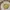 Lowrys Farm Coquette Minimalist Sweatshirt Wanita yellow photo 1