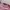 Y2K Lolita Crop top Wanita pink photo 5