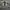 Y2K Short Pria gray photo 3