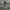 Y2K Short Pria gray photo 7