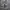 Y2K Short Pria gray photo 5