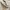 Pull & Bear Streetwear Casual Hoody Pria white photo 6