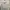 Pull & Bear Streetwear Casual Hoody Pria white photo 2