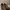 Louis Vuitton Luxury Loafer Pria Brown Black