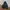 Made in USA Gorpcore Windbreaker Pria black photo 3