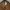 Japanese brand Streetwear Casual Casual pants Pria brown photo 4