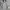 Champion Streetwear Casual Hoody Pria gray photo 1