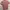 Uniqlo Minimalist Casual Polo shirt Pria pink photo 2