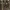 Versace Casual Formal shirt Pria brown photo 1