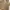 Uniqlo Minimalist Casual Polo shirt Pria tan photo 4