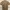 Uniqlo Minimalist Casual Polo shirt Pria tan photo 2