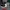 VANS Streetwear Skater Sneakers Pria White Black