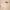 Vintage Streetwear Windbreaker Pria tan cream photo 3