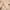 Vintage Streetwear Windbreaker Pria tan cream photo 4