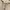 Sportswear Minimalist Fleece Pria tan cream photo 6
