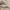 Sportswear Minimalist Fleece Pria tan cream photo 5