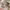 Coquette Casual Sweatshirt Wanita multicolor photo 5