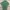 Pull & Bear Streetwear Casual T-shirt Pria white green photo 1