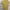 H&M Streetwear Casual T-shirt Pria white yellow photo 2