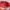 Guess Indie Casual Sweater Pria red photo 4