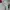 Moncler Streetwear Casual Sweater Pria white photo 2