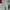 Moncler Streetwear Casual Sweater Pria White