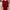 Bershka Goth Minimalist Midi dress Wanita red photo 2