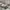 MUSINSA STANDARD Y2K Sportswear Sweatpants & Joggers Pria gray photo 5