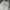 MUSINSA STANDARD Y2K Sportswear Sweatpants & Joggers Pria gray photo 3
