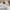 Schott NYC Streetwear Casual Short Pria white photo 4