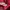 Puma Streetwear Hoody Pria multicolor photo 4