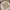 Banana Republic Casual Sweatshirt Wanita yellow photo 1