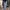Streetwear Y2K Jeans Pria gray blue photo 4