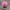 Vintage Hat Wanita pink photo 3