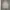 Converse Streetwear Skater Sweatshirt Pria gray photo 1