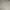 Converse Streetwear Skater Sweatshirt Pria gray photo 3