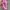 Vintage Hat Pria pink photo 4