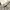 Streetwear Grunge Jeans Pria white gray photo 8