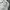 Umbro Streetwear Skater Sweatshirt Pria gray photo 4