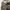 Dickies Streetwear Casual Casual pants Pria multicolor photo 5
