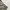 Dickies Streetwear Casual Casual pants Pria multicolor photo 1