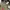 Dickies Streetwear Casual Casual pants Pria multicolor photo 7