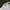 Vintage Hat Pria white photo 8