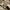 Vintage Minimalist Handbag Wanita tan khaki photo 1