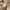 Vintage Minimalist Shoulder bag Wanita tan cream photo 1
