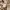 Vintage Minimalist Shoulder Bag Wanita Tan Cream