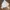 Champion Streetwear Casual Bomber jacket Pria white photo 4
